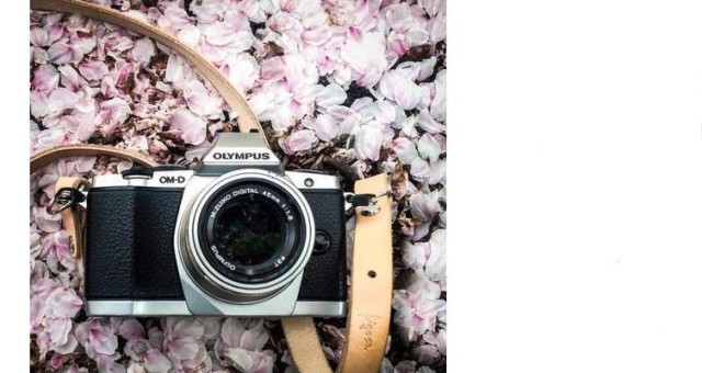 Figosa straps on The Phoblographer